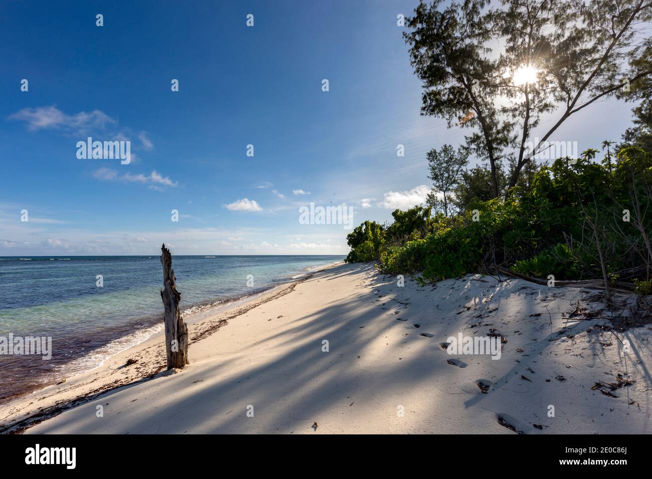 Île aux oiseaux; Seychelles Banque D'Images