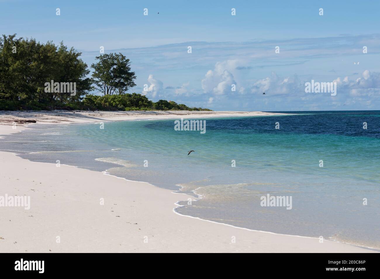 Île aux oiseaux; Seychelles Banque D'Images