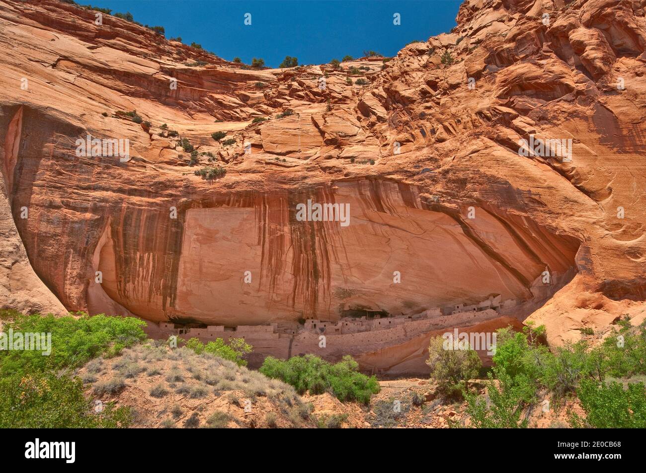 Ruines de Keet Seel, vernis du désert sur le mur de Skeleton Mesa, au monument national Navajo, Shonto plateau, Arizona, États-Unis Banque D'Images