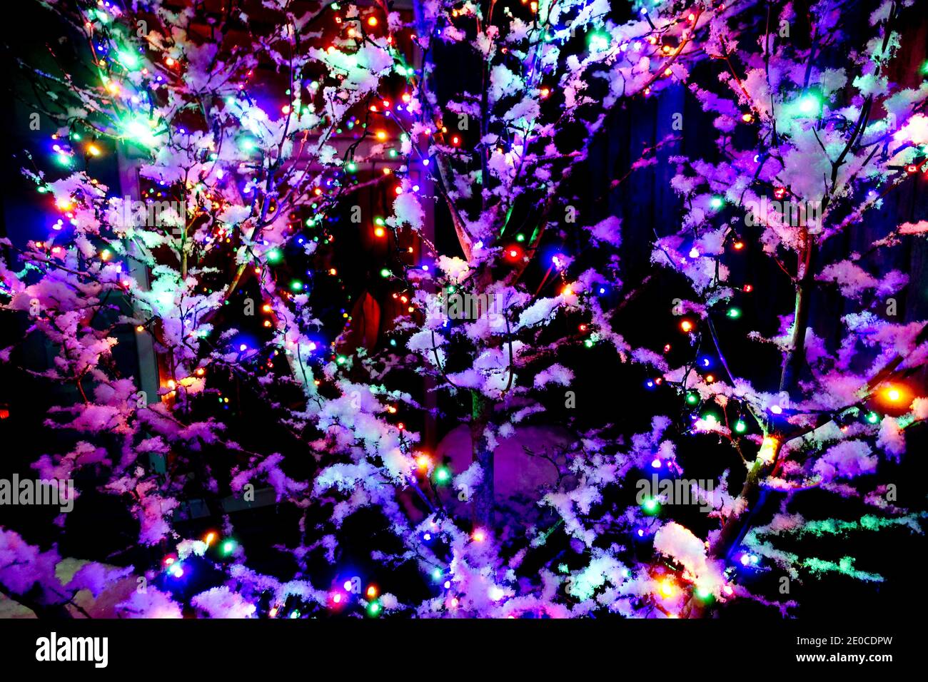Illuminations de Noël avec neige Banque D'Images