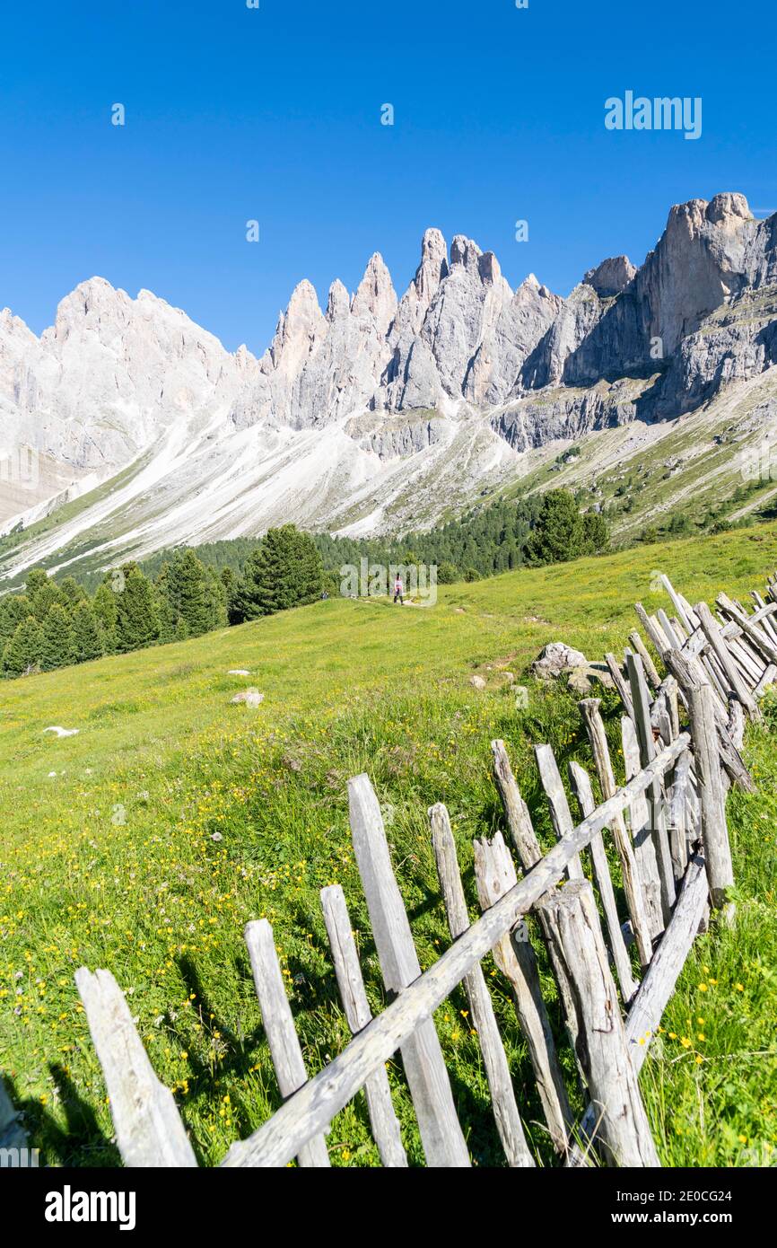 Clôture en bois dans les pâturages verts de Malga Brogles avec l'Odle en arrière-plan, Val di Funes, Tyrol du Sud, Dolomites, Italie, Europe Banque D'Images