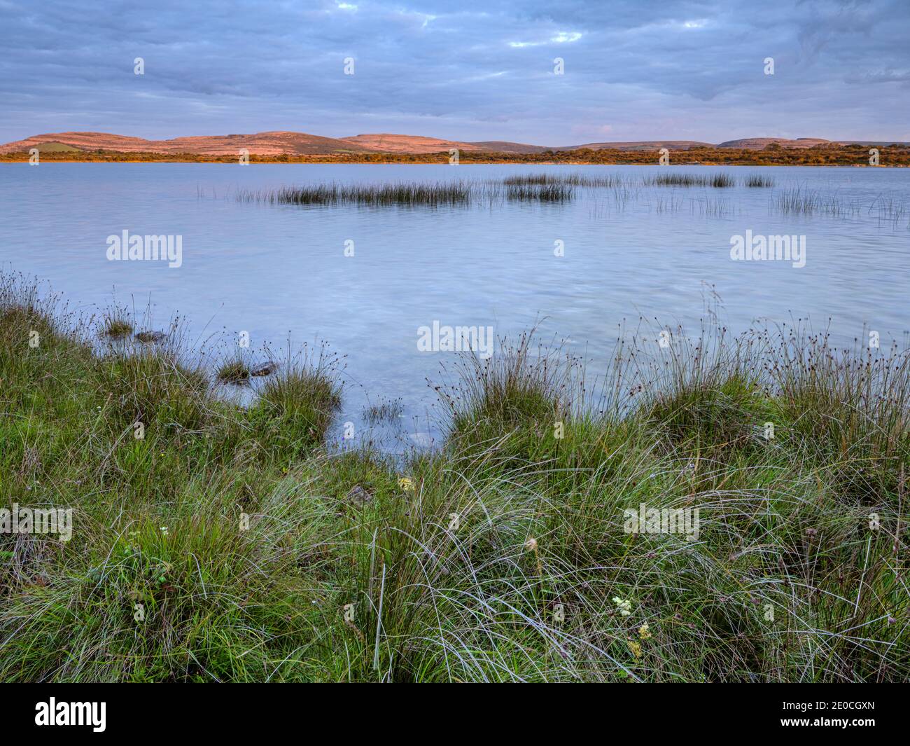 Lough Bunny, le Burren, comté de Clare, Munster, République d'Irlande, Europe Banque D'Images