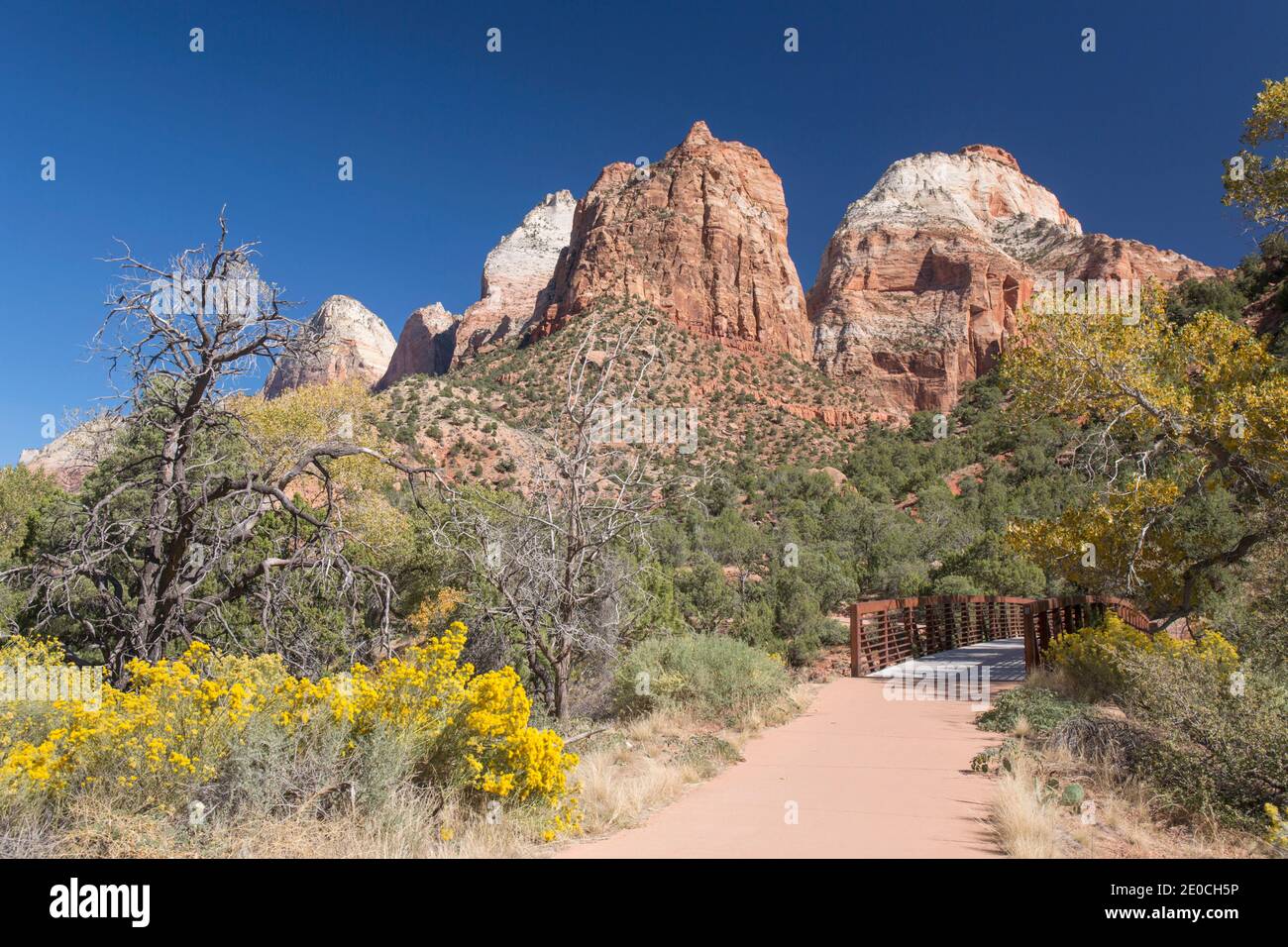 Admirez le chemin Pa'rus Trail jusqu'au mont Spry et au temple de l'est, en automne, au parc national de Zion, Utah, États-Unis d'Amérique Banque D'Images