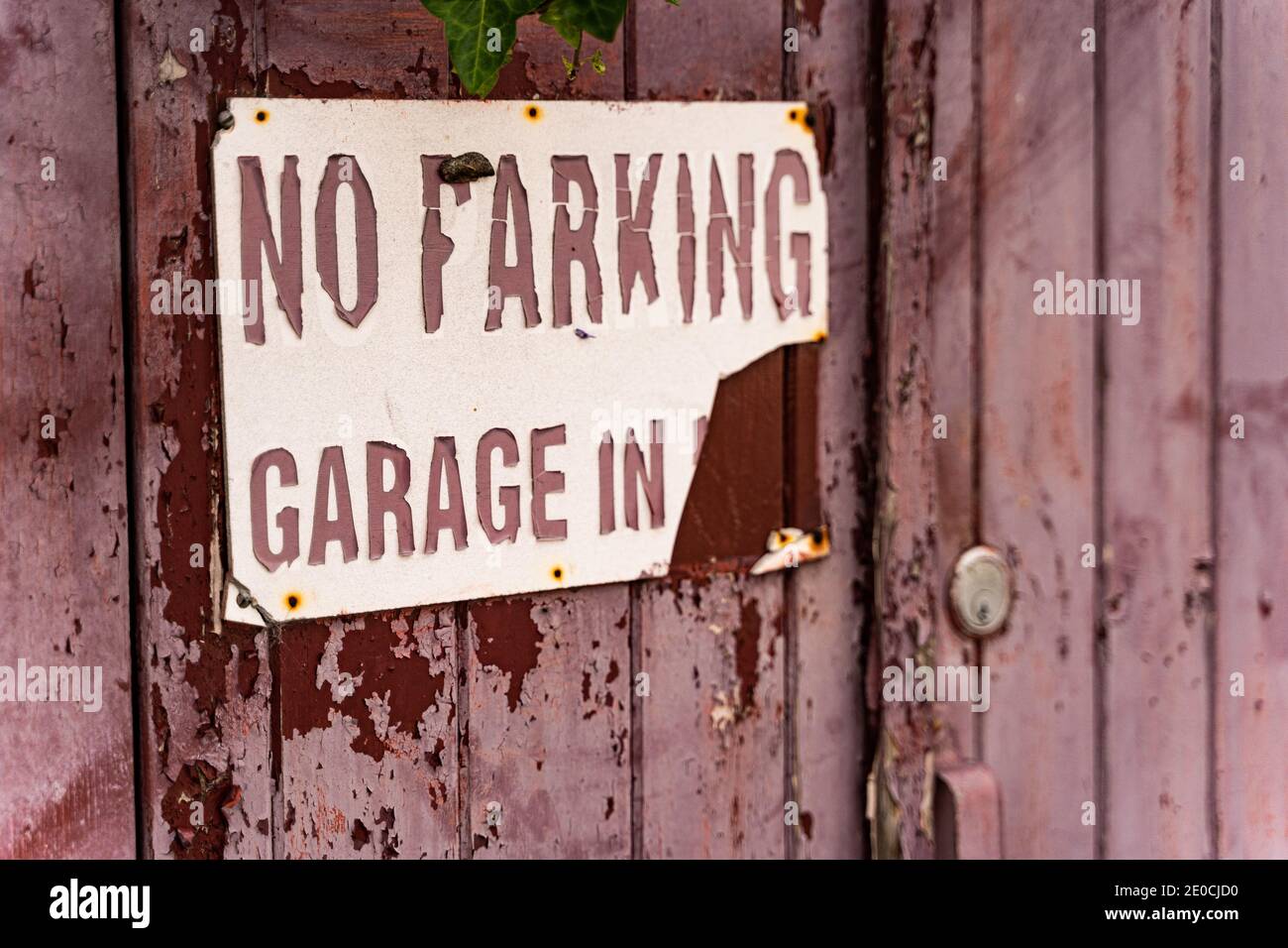 Porte de garage en bois peint et abîmé Banque D'Images