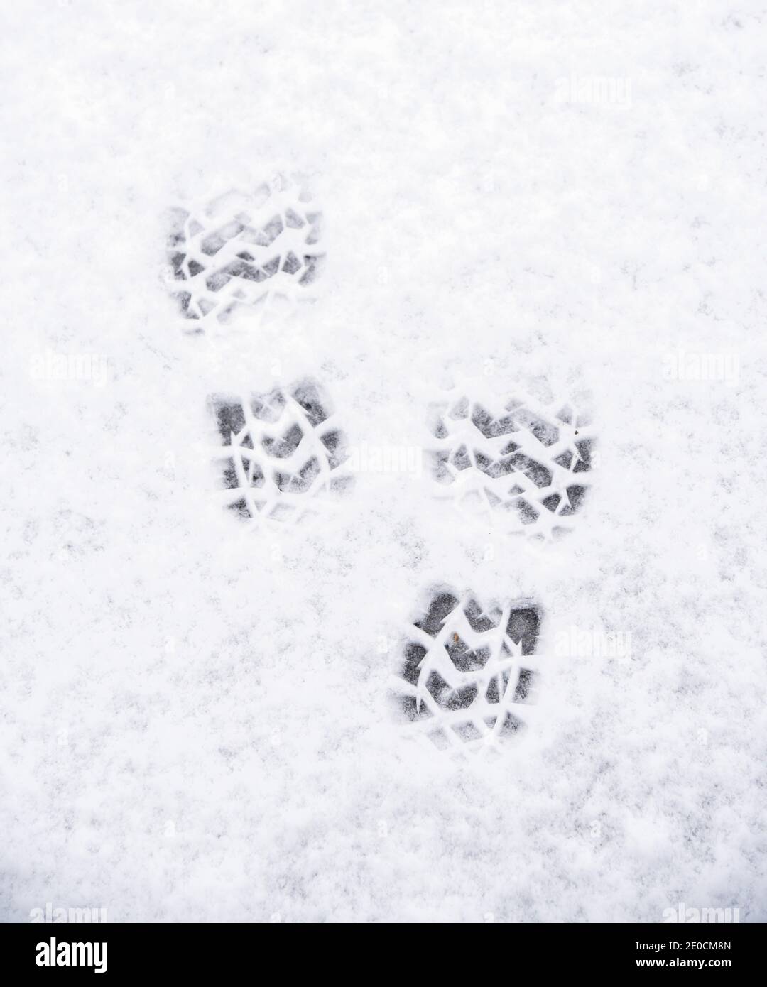 Deux imprimés de chaussures dans la neige en blanc d'hiver Banque D'Images