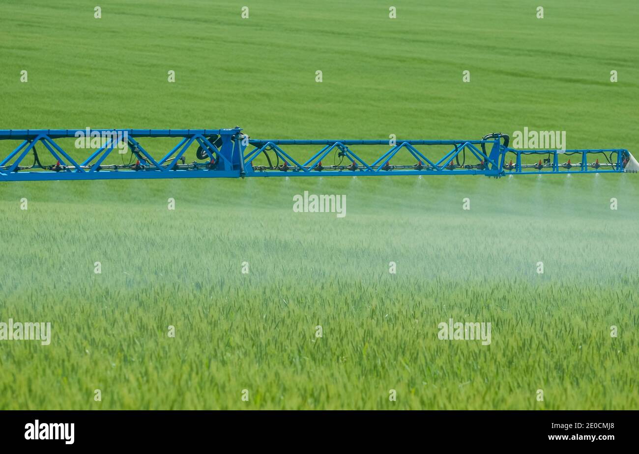 Pulvérisateurs agricoles, pulvérisation de produits chimiques sur du blé jeune. Pulvérisation de pesticides sur le champ de blé avec pulvérisateur Banque D'Images