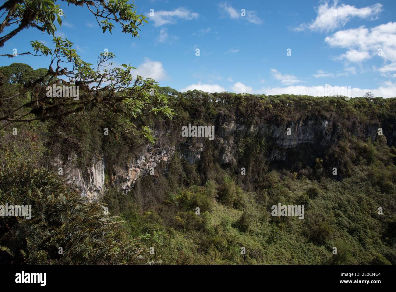 Los Gemelos sont deux chambres magma effondrées sur les hautes terres de Santa Cruz aux îles Galapagos. Banque D'Images