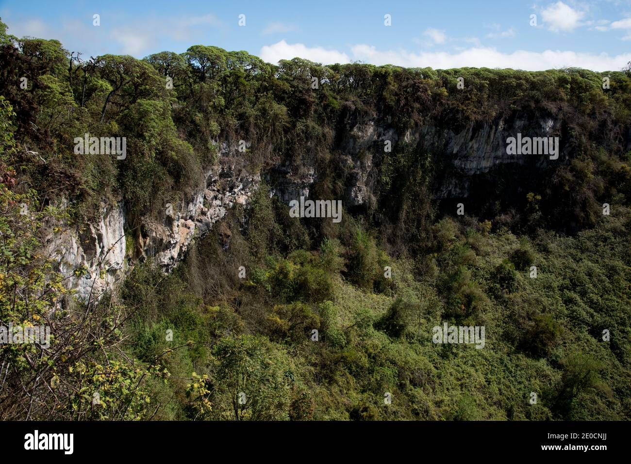 Los Gemelos sont deux chambres magma effondrées sur les hautes terres de Santa Cruz aux îles Galapagos. Banque D'Images