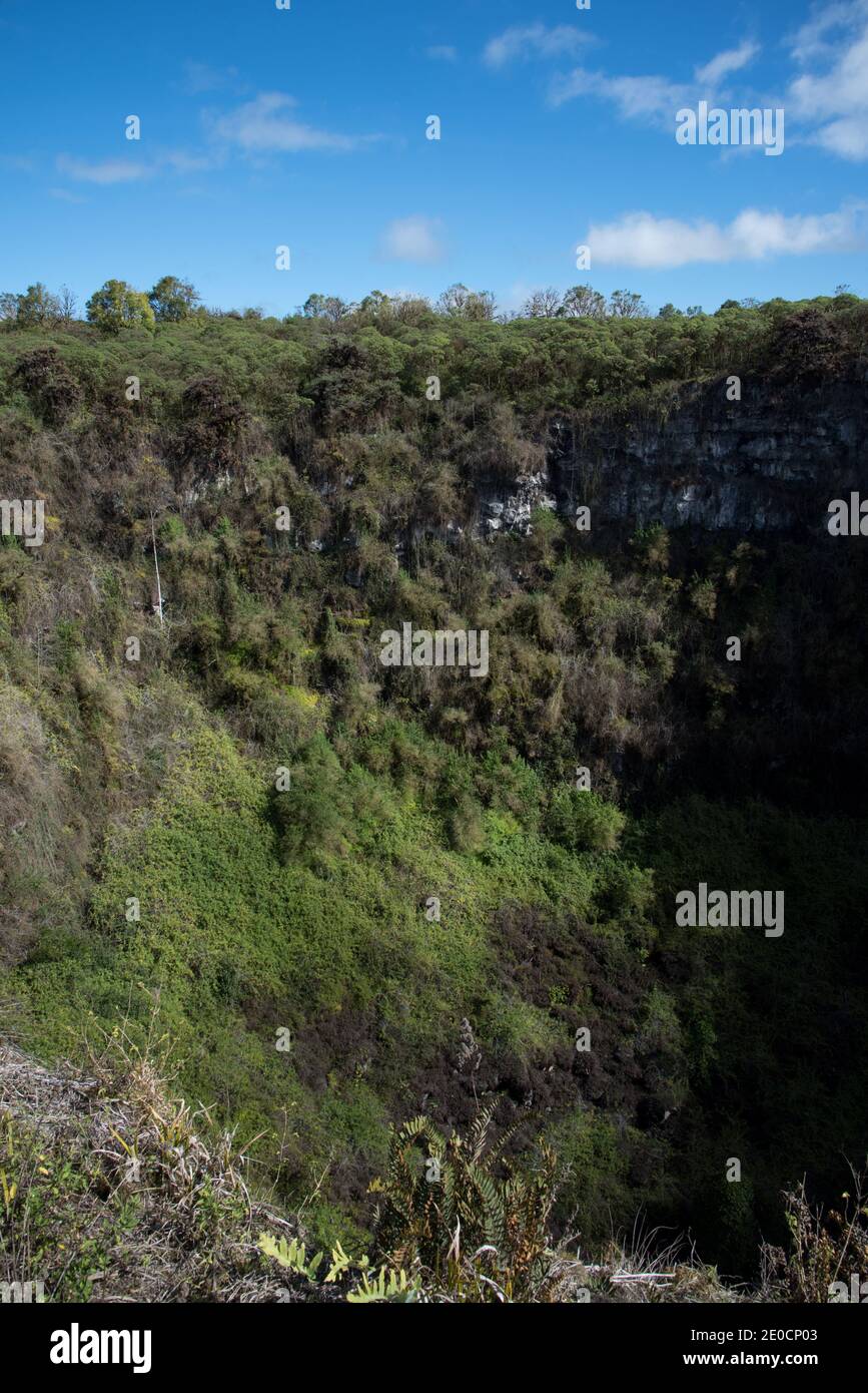 Los Gemelos sont deux chambres magma effondrées sur les hautes terres de Santa Cruz aux îles Galapagos. Banque D'Images