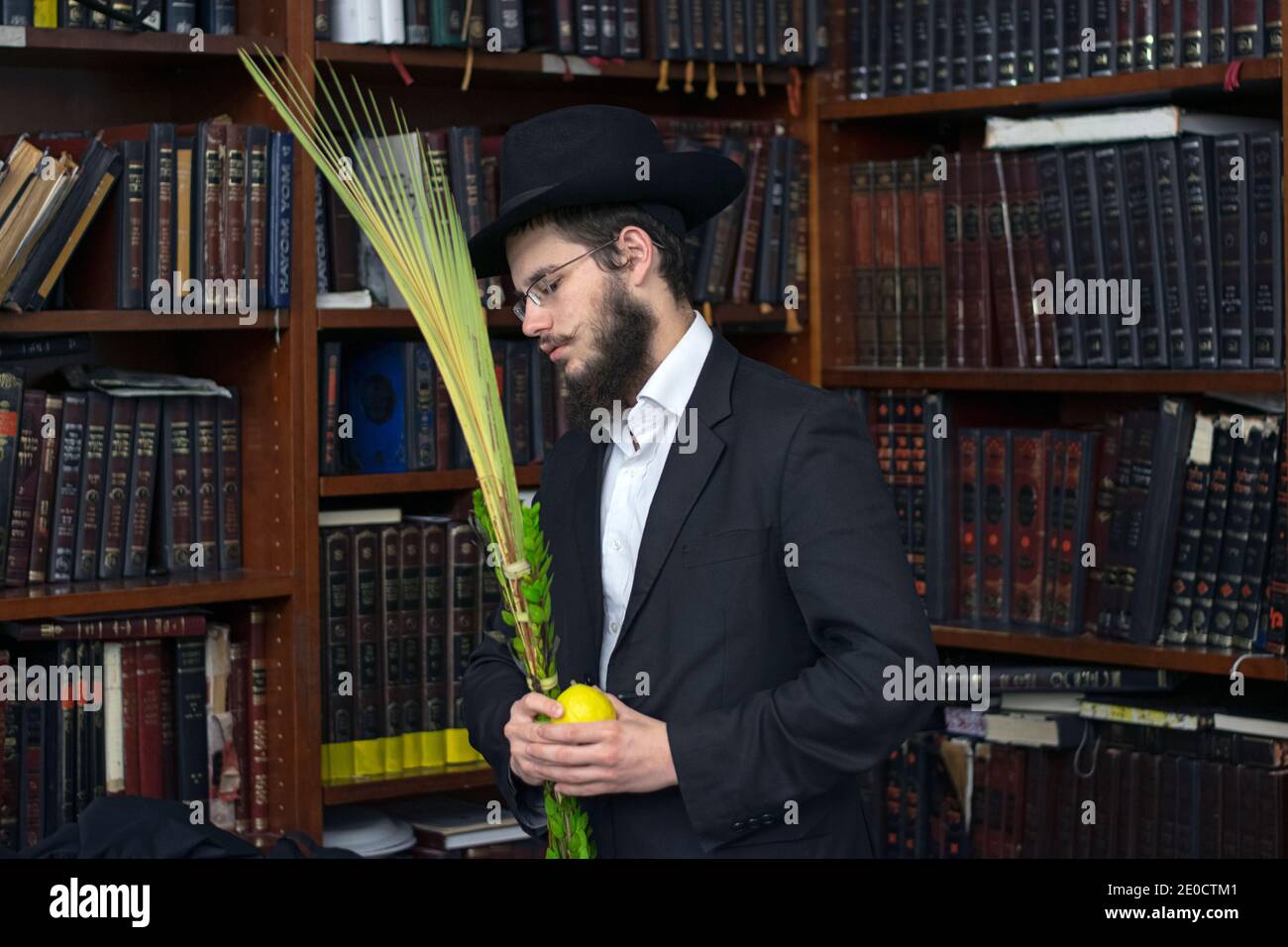 Un juif orthodoxe bénit les quatre espèces de Sukkot dans la section de la bibliothèque de la synagogue principale de Lubavitch à Brooklyn, New York. Banque D'Images