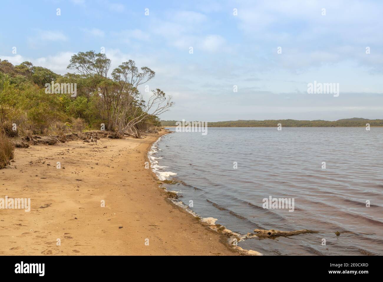 Paysage le long de la plage de Coalmine dans la baie de Nornalup à proximité À Walpole en Australie occidentale Banque D'Images