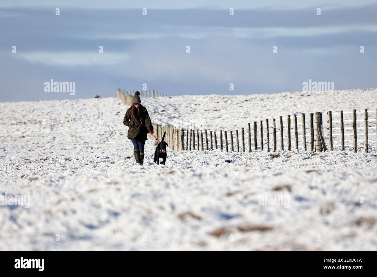 Teesdale, comté de Durham, Royaume-Uni. 31 décembre 2020. Météo Royaume-Uni. Le paysage de Upper Teesdale dans les Pennines du Nord est devenu un magnifique pays d'hiver de ciel bleu poudré, de glace et de neige le dernier jour de 2020. Crédit : David Forster/Alamy Live News Banque D'Images