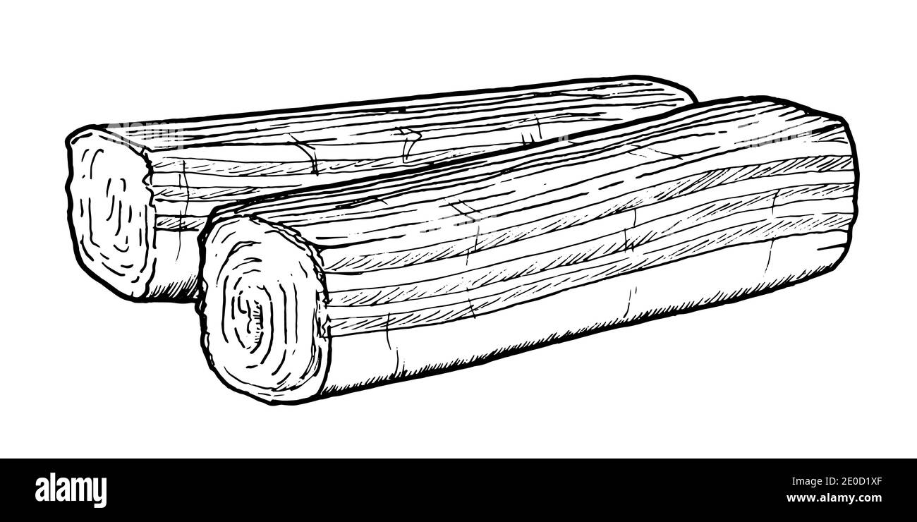 Dessin de bâtonnets de surimi - croquis de nourriture à la main Illustration de Vecteur