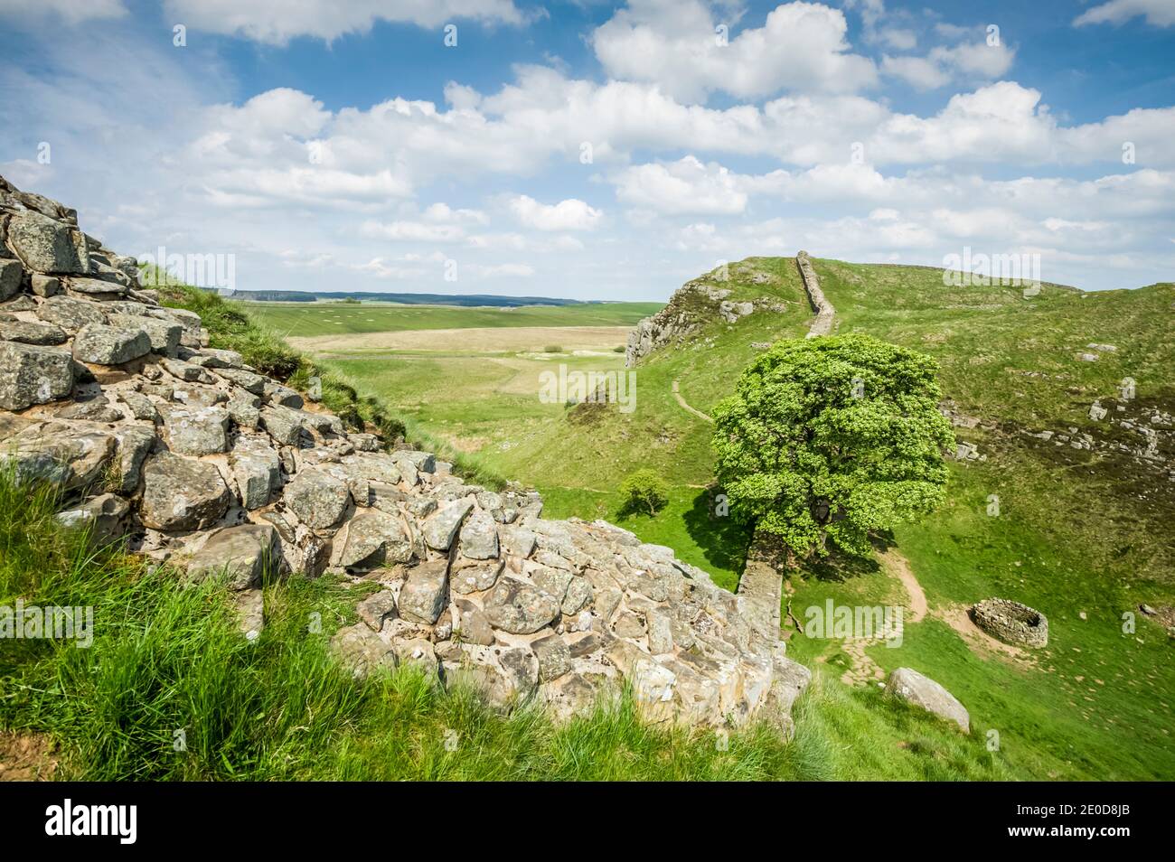 C'est Sycamore Gap à Steel Rigg sur le mur d'Hadrien dans Northumberland  construit pendant l'occupation romaine de l'Angleterre en 20-50AD et nommé d 'après l'empereur romain Hadrien. Le mur s'étend de Carlisle à
