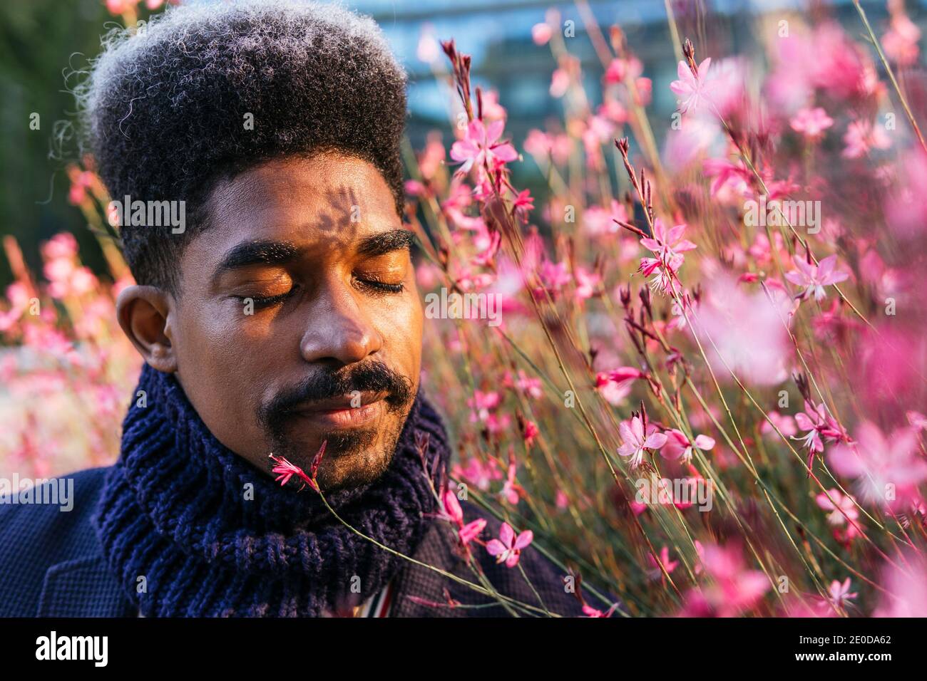 Homme afro-américain insouciant dans le parc de la ville et appréciant odeur aromatique de fleurs roses en fleurs Banque D'Images