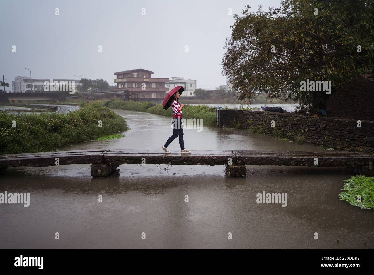 Vue latérale de la femme avec parasol le long de la passerelle en bois Tout en appréciant la solitude le jour des pluies dans le comté de Yilan et vue sur l'extérieur Banque D'Images