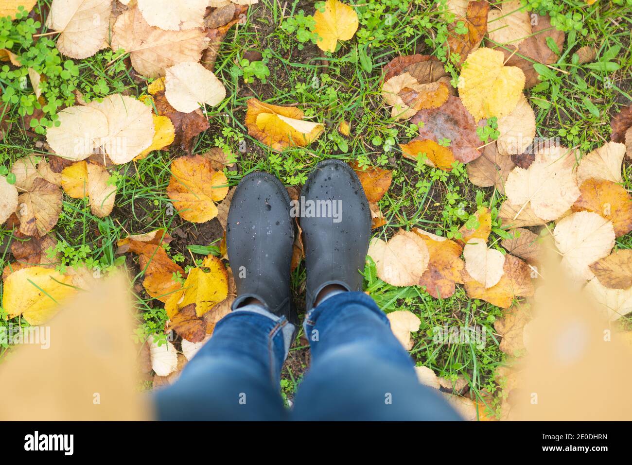 Automne automne coloré feuilles jaunes et brunes sur l'herbe avec bottes femme et veste de pluie jaune Banque D'Images