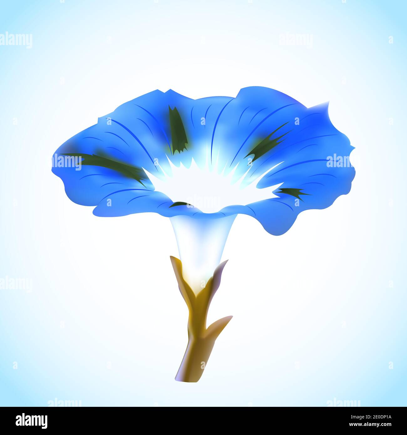 Fleur pétunia bleue isolée sur fond blanc-bleu. Illustration vectorielle. Illustration de Vecteur