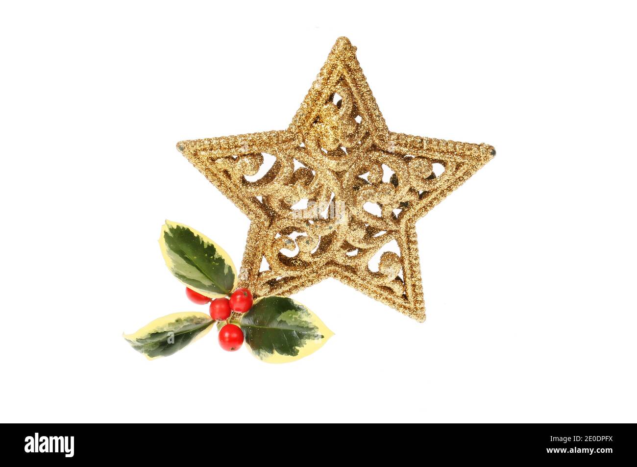 Étoile de Noël dorée à paillettes avec houx variégé isolé du blanc Banque D'Images