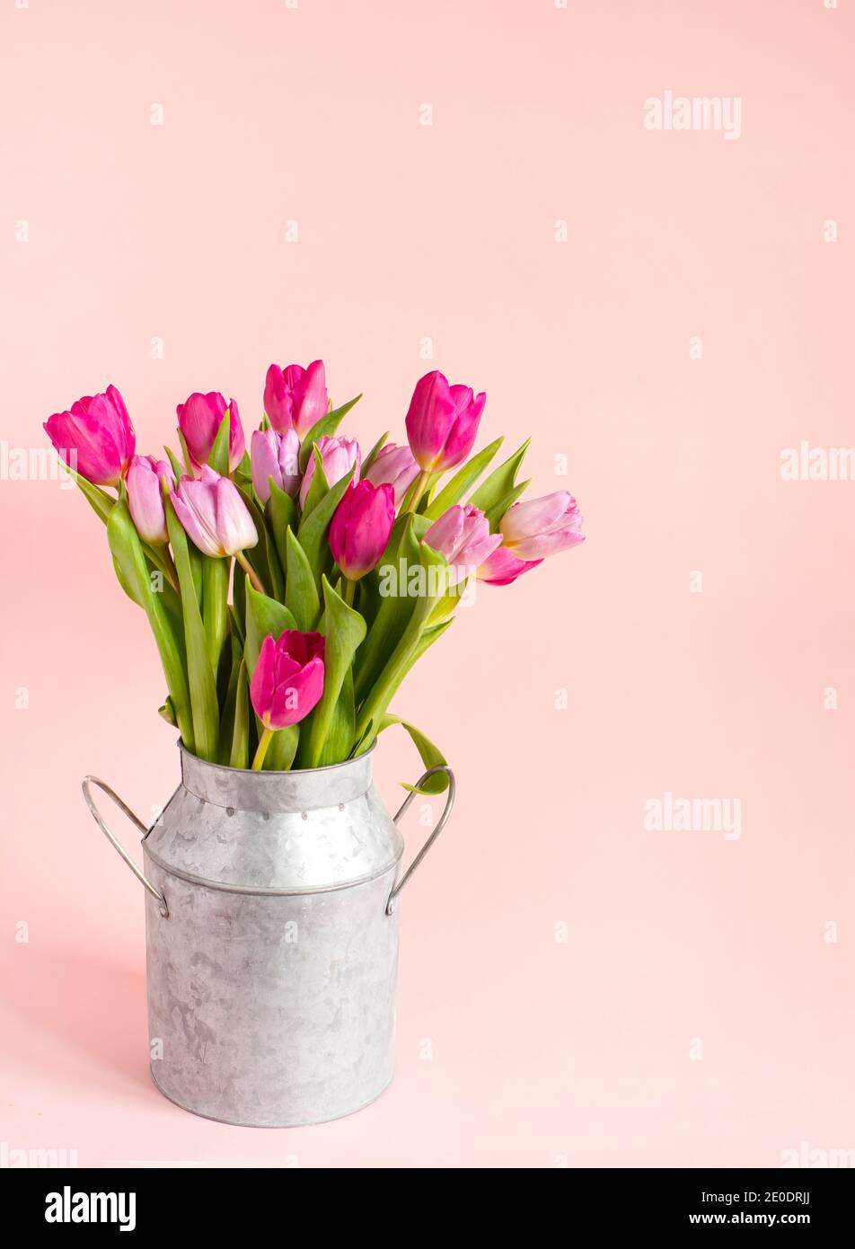 bouquet de tulipes roses de printemps dans un vase sur fond rose. Toile de fond de vacances, espace de copie pour la fête des mères de Saint-Valentin, concept d'anniversaire. Banque D'Images