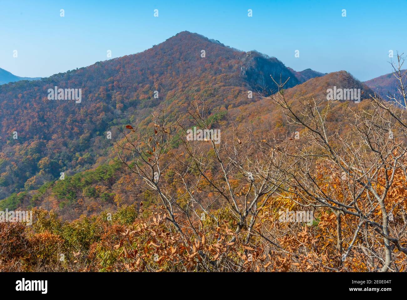 Pics du parc national de Naejangsan en République de Corée Banque D'Images