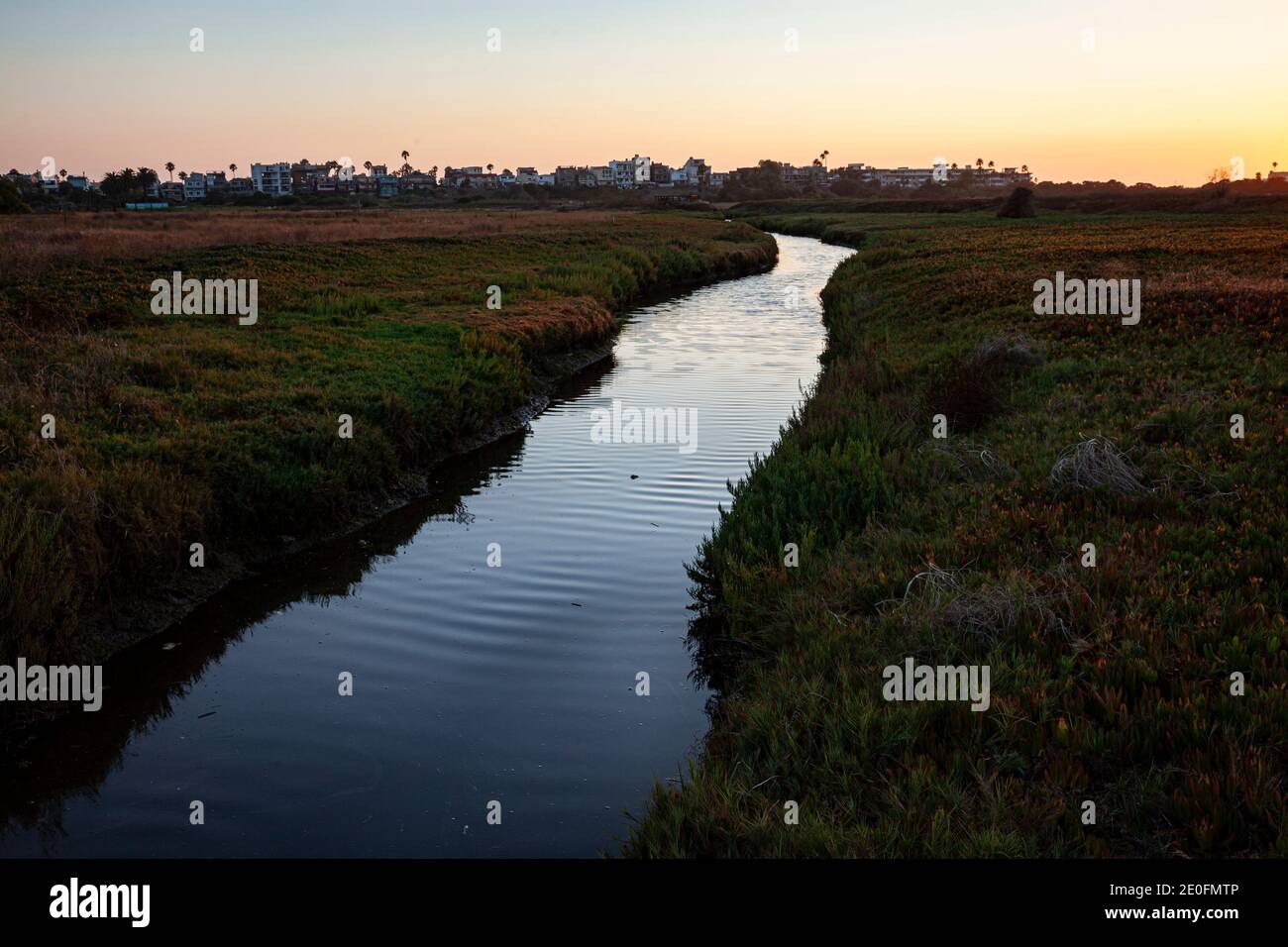 Ballona Wetlands, Playa Del Rey, Los Angeles, Californie, USA Banque D'Images