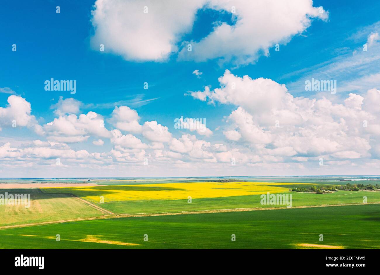 Vue aérienne du paysage agricole avec floraison champ de colza, d'oléagineux et de jeunes blé vert en saison printanière. Fleur de jaune de canola Banque D'Images