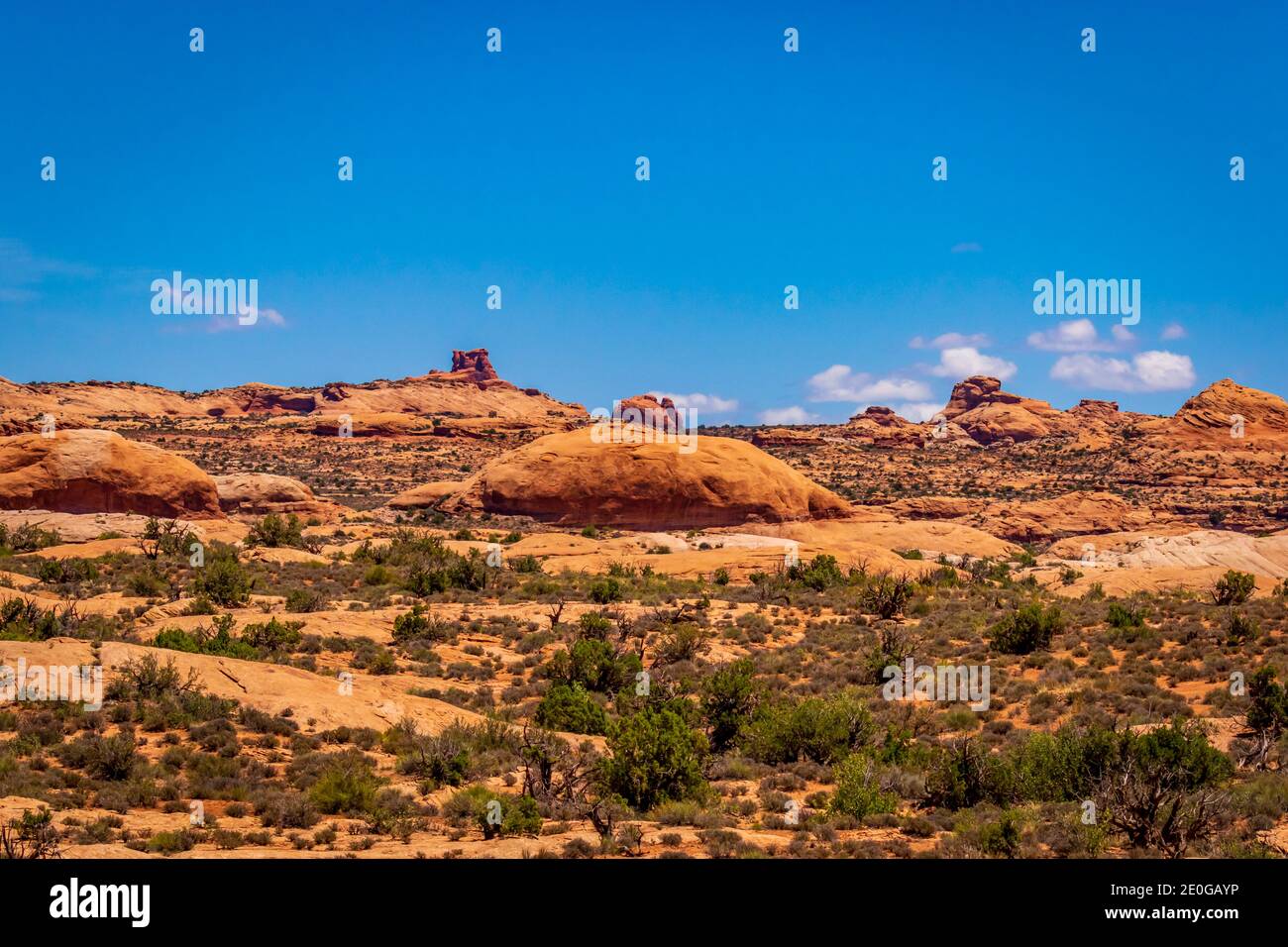Dunes pétrifiées dans Arches National Park, Utah Banque D'Images
