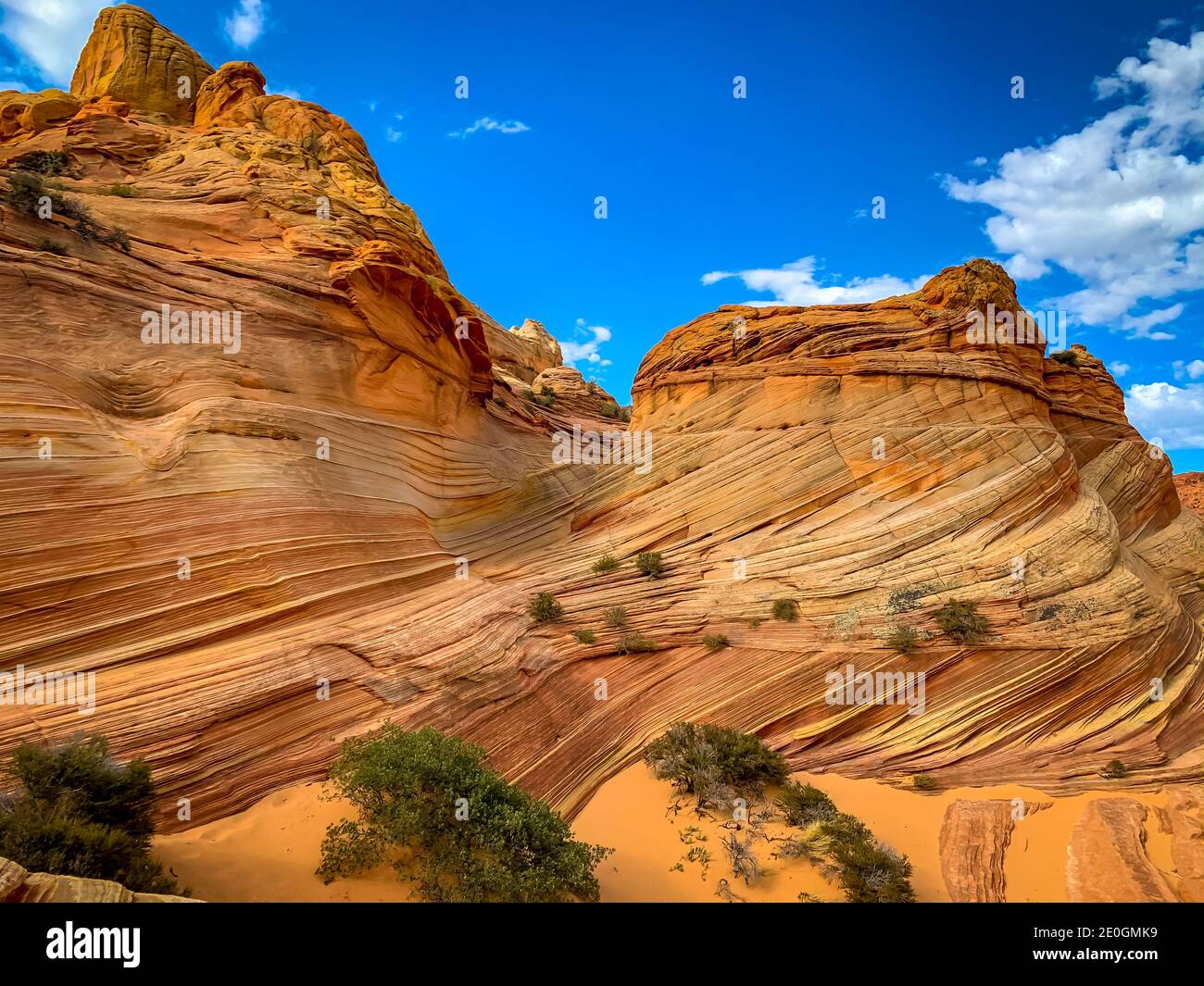 The Wave est une célèbre formation de roche de grès située à Coyote Buttes,  en Arizona, connue pour ses formes ondulantes colorées Photo Stock - Alamy