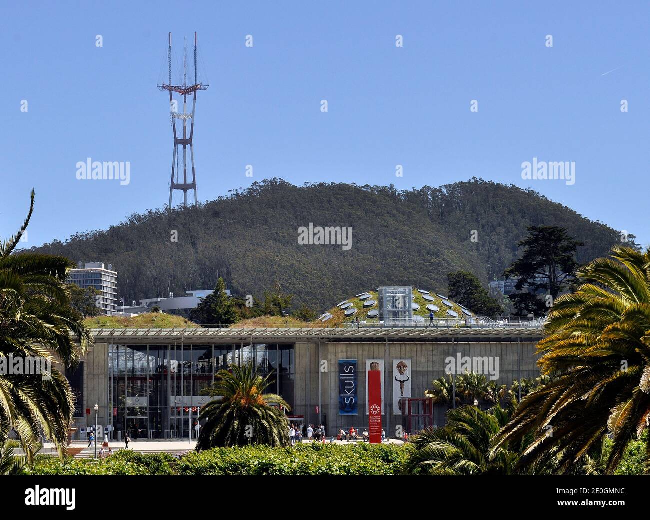 California Academy of Sciences à Golden Gate Park, San Francisco, Californie Banque D'Images