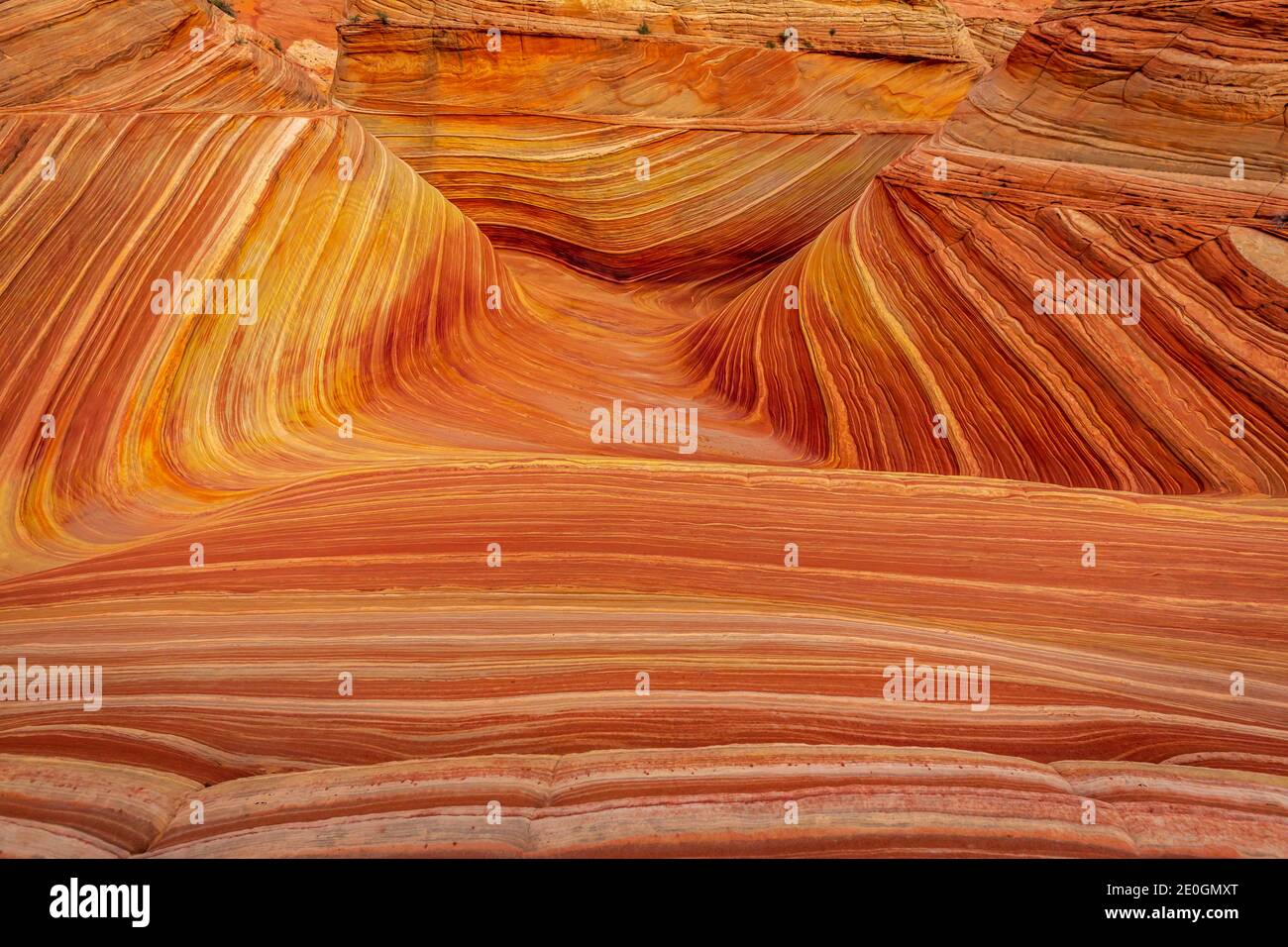 The Wave est une célèbre formation de roche de grès située à Coyote Buttes, en Arizona, connue pour ses formes ondulantes colorées Banque D'Images