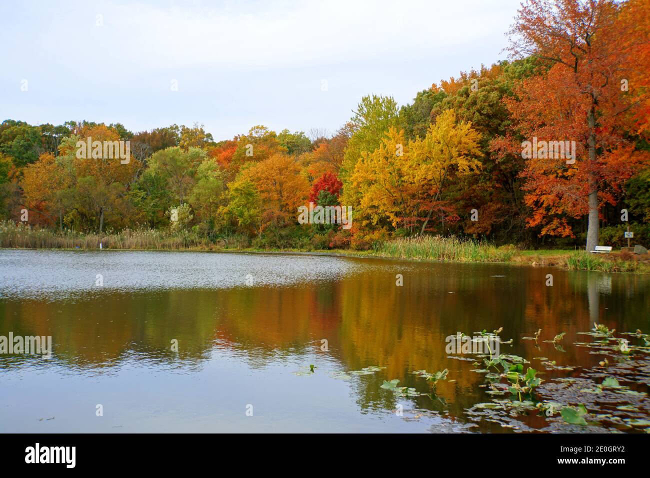 Une belle journée lumineuse avec réflexion du feuillage d'automne à Folley Pond près de Banning Park, Wilmington, Delaware, U.S.A Banque D'Images