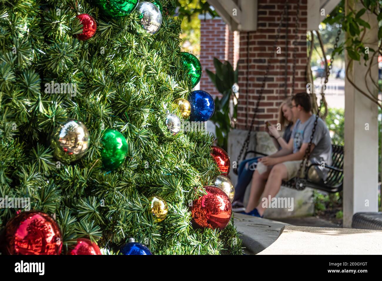 Christmastime dans le jardin d'hiver du centre-ville, Floride. (ÉTATS-UNIS) Banque D'Images