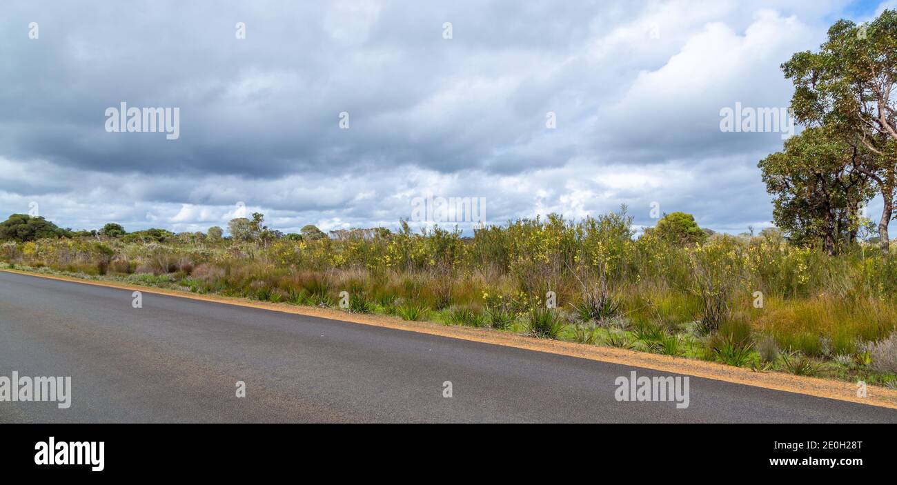 Route goudronnée à l'est d'Augusta, au sud-ouest de l'ouest Australie Banque D'Images