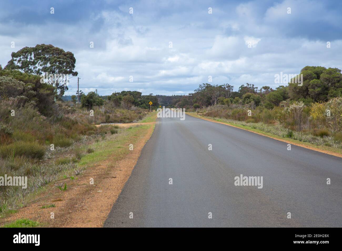 Route goudronnée à l'est d'Augusta, au sud-ouest de l'ouest Australie Banque D'Images