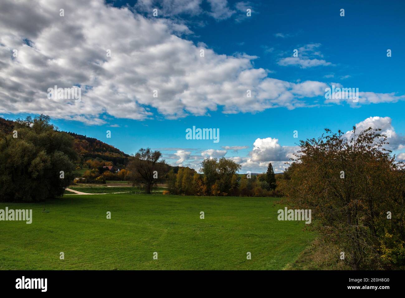 Feuilles colorées, prairies vertes et ciel bleu nuageux Banque D'Images