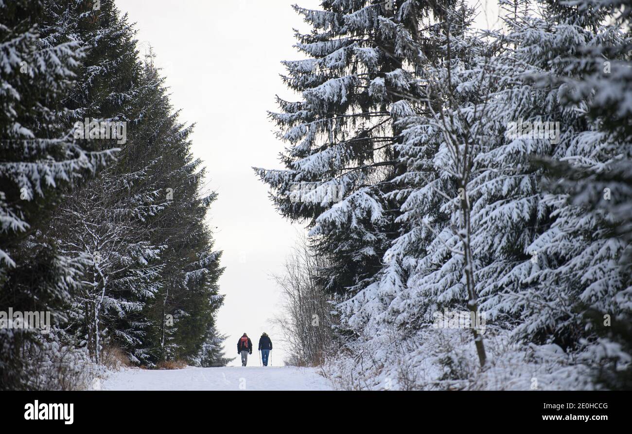 Altenberg, Allemagne. 1er janvier 2021. Les randonneurs traversent une forêt enneigée d'hiver dans le quartier saxon de Sächsische Schweiz-Osterzgebirge le jour de l'an 2021. Credit: Robert Michael/dpa-Zentralbild/dpa/Alay Live News Banque D'Images