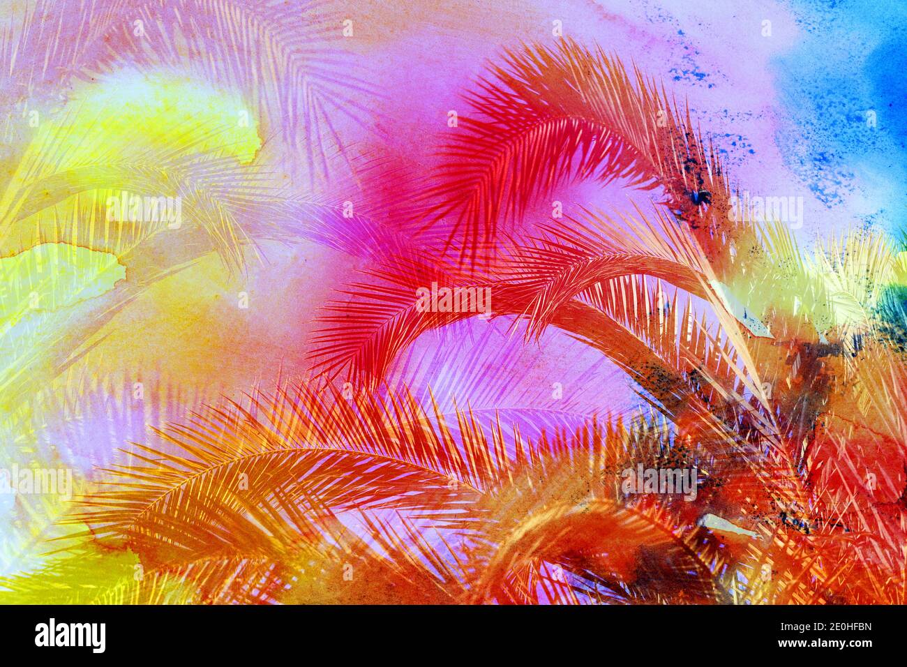 Photo lumineuse photo rétro colorée de palmiers sur une île tropicale. Un exemple pour la conception des paumes de voyage et tourismof rétronéons paumes dans le Banque D'Images