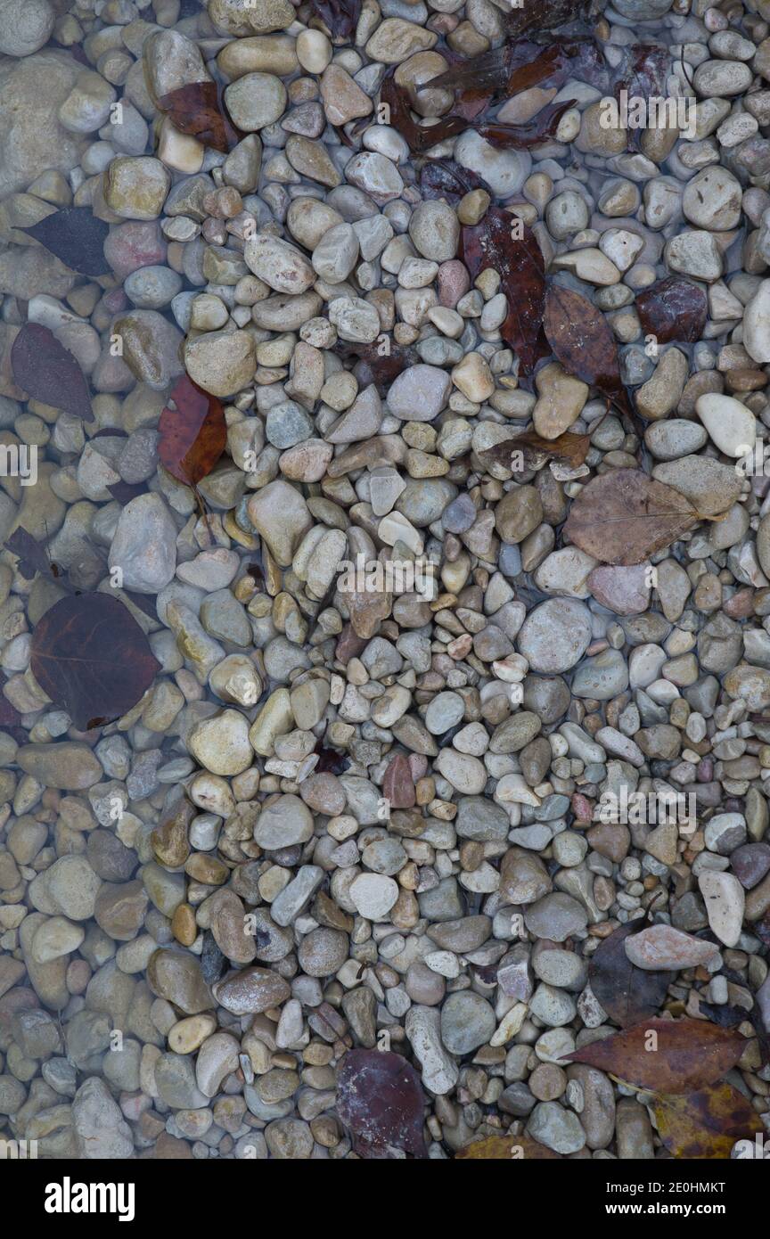 Un chemin de grandes pierres avec des feuilles d'automne tombées. Fond naturel pour insérer du texte en espagne Banque D'Images