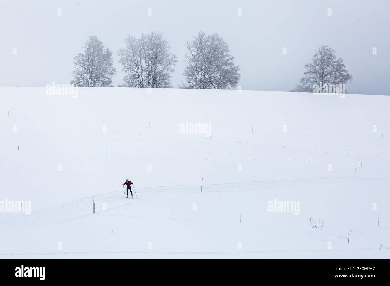 Oberried, Allemagne. 1er janvier 2021. Un skieur de fond est en mouvement sur une pente. Le temps hivernal dans la partie supérieure de la Forêt-Noire attire de nombreux visiteurs le jour de l'an. Credit: Philipp von Ditfurth/dpa/Alay Live News Banque D'Images