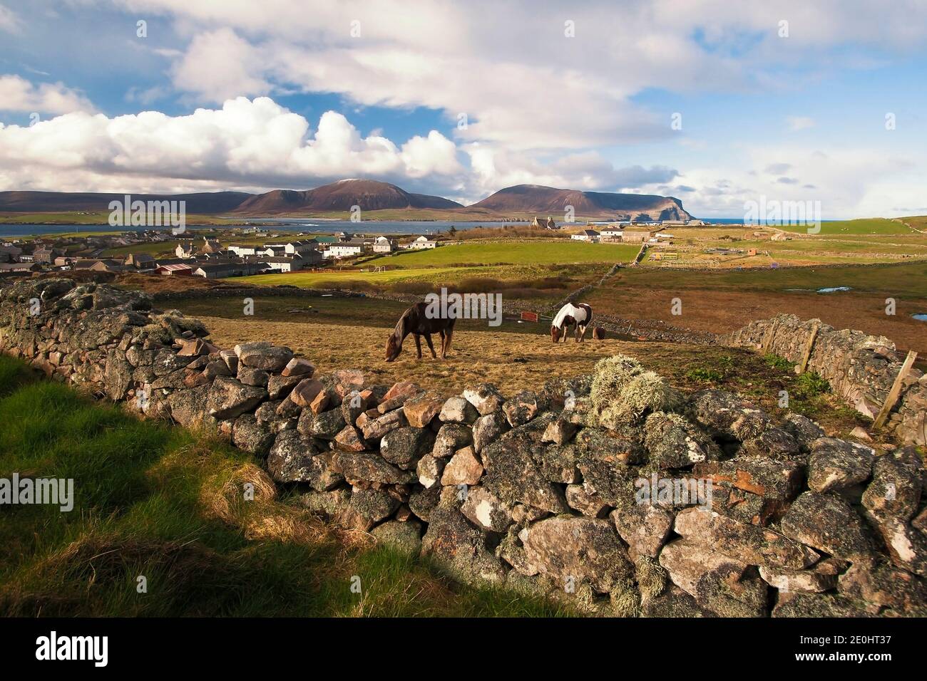 Vue aérienne de la ville des îles Orcades Stromness et des terres agricoles avec deux chevaux paître sur l'herbe Banque D'Images