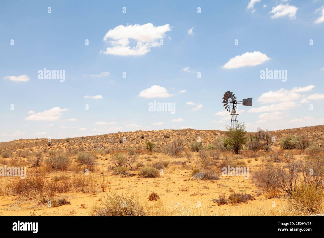Moulin à vent isolé dans un paysage aride de de dunes rouges du Kalahari, Parc transfrontalier du Kgalagadi, Cap Nord, Afrique du Sud Banque D'Images