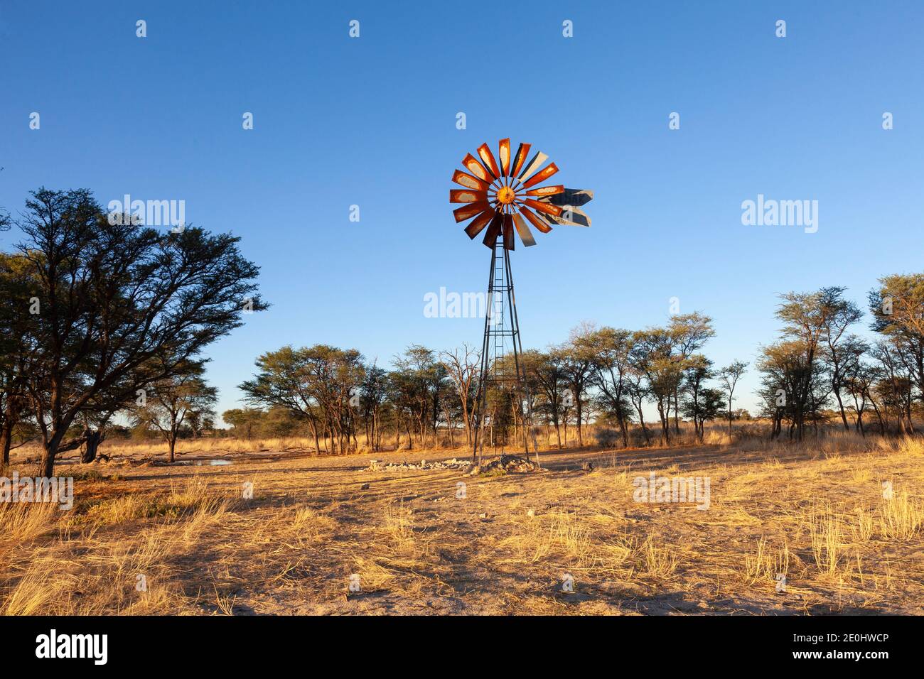 L'ancien moulin à vent du trou d'eau de Rooidam près de Nossob au coucher du soleil, Kgalagadi atrnsFrontier Park, Kalahari, Northern Cape, Afrique du Sud Banque D'Images