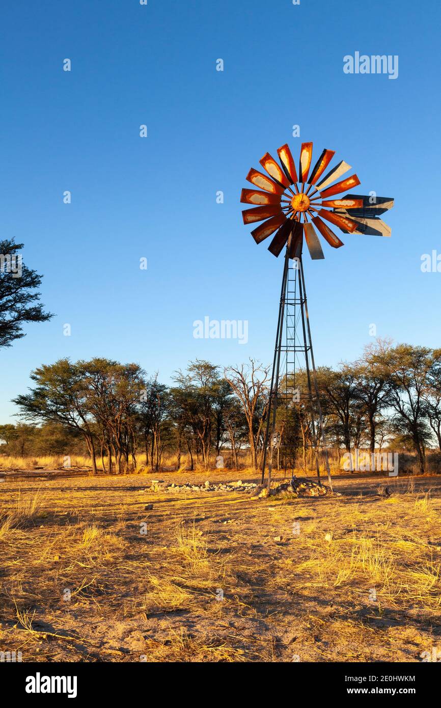 L'ancien moulin à vent du trou d'eau de Rooidam près de Nossob au coucher du soleil, parc transfrontalier de Kgalagadi, Kalahari, Cap Nord, Afrique du Sud Banque D'Images