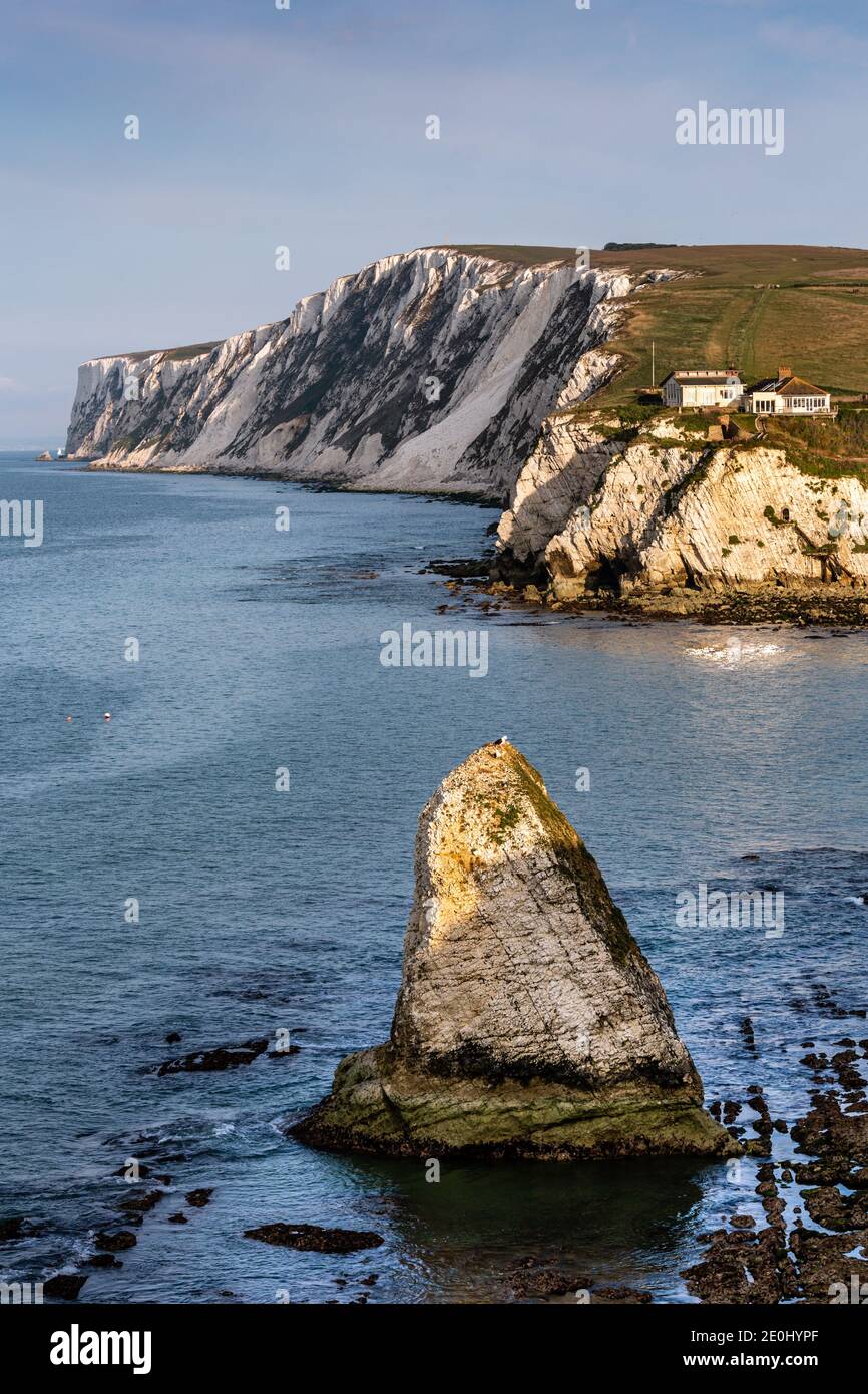 Piles de mer à Freshwater Bay sur l'île de Wight, Angleterre, Royaume-Uni. En regardant vers l'ouest vers Tennyson Down. Banque D'Images