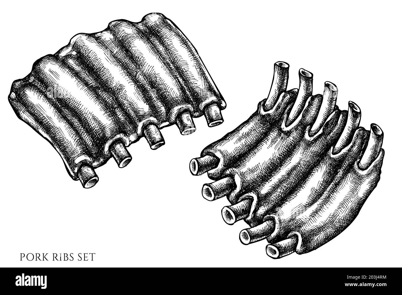 Ensemble vectoriel de côtes de porc noires et blanches dessinées à la main Illustration de Vecteur