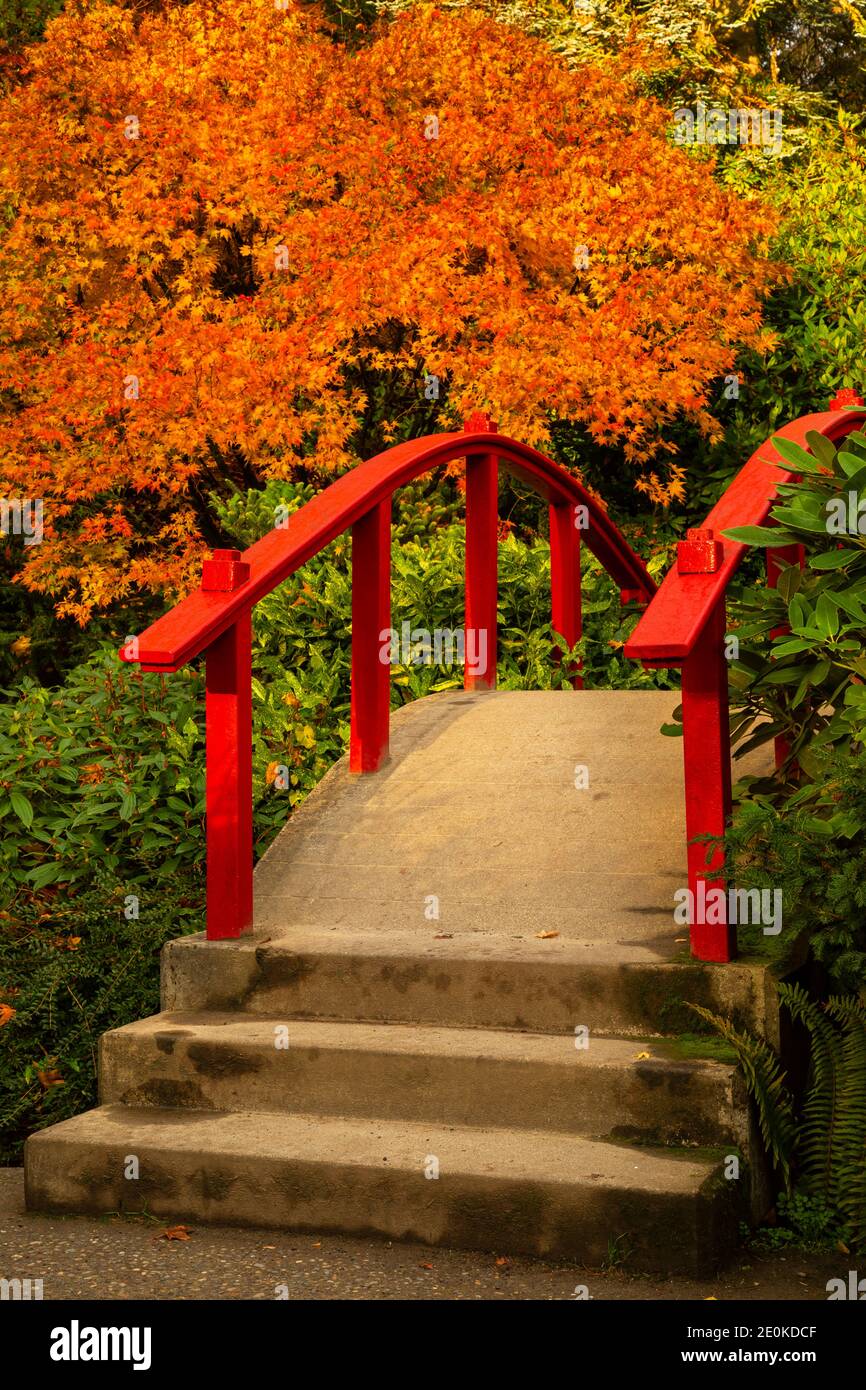 WA18957-00...WASHINGTON - Pont de la Lune au jardin de Kubota , un parc de la ville de Seattle. Banque D'Images