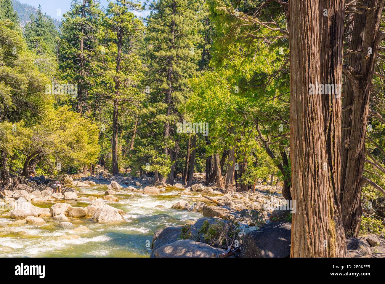 Yosemite, Californie Banque D'Images
