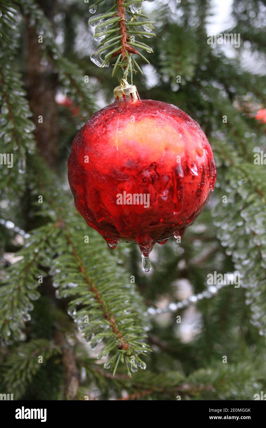 Esprit Yule-Tide dans le parc. Banque D'Images