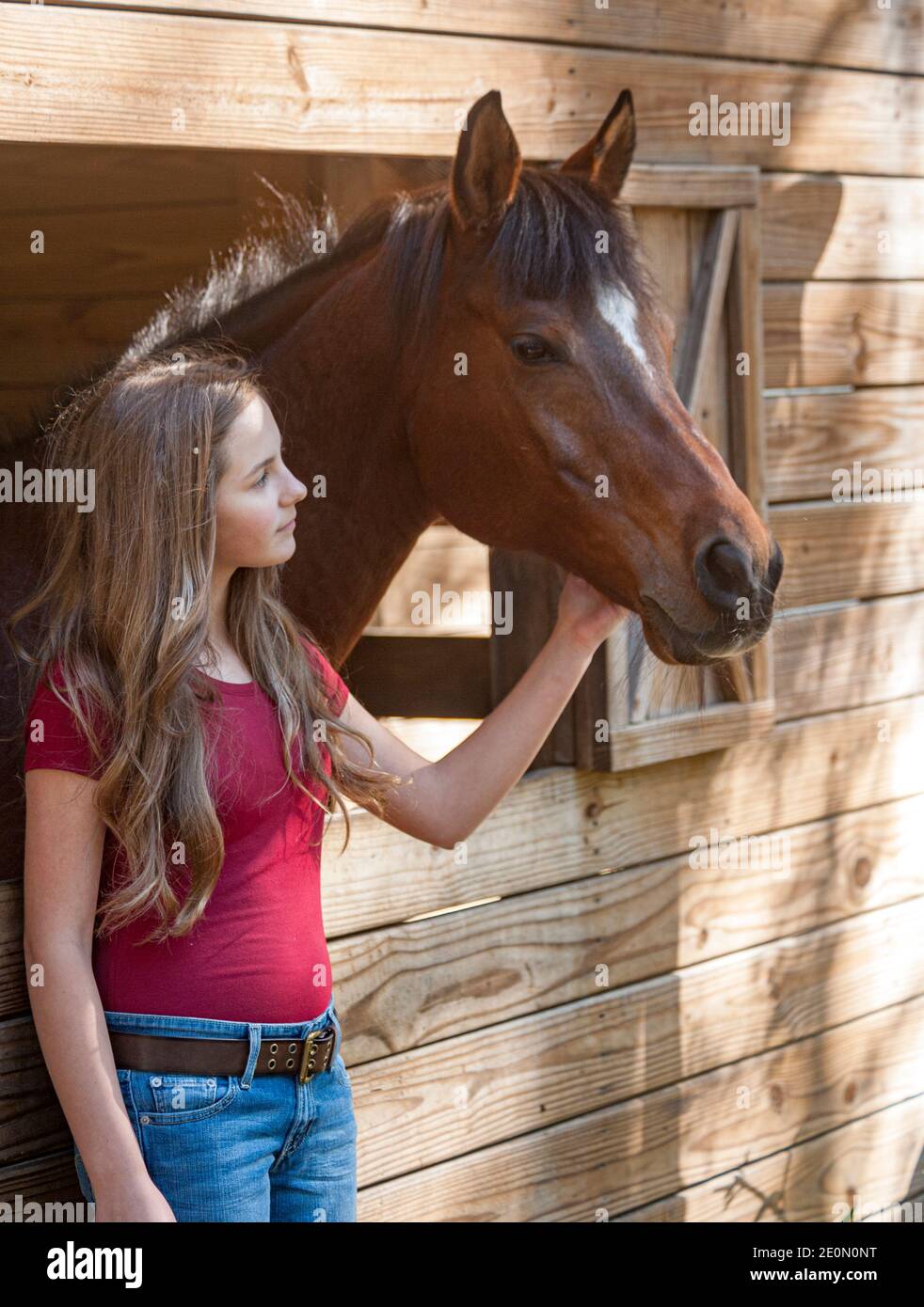 Fille de 11 ans avec jument de cheval arabe. Banque D'Images